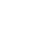 Working Families Party